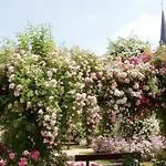 D'hotes La Belle Taille Гостевой дом Lassay-les-Chateaux