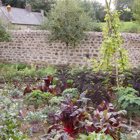 Maison d'hôtes D'hotes La Belle Taille Lassay-les-Châteaux