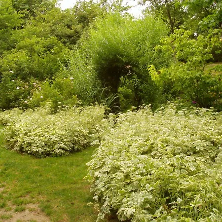 D'hotes La Belle Taille 3*