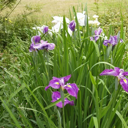 D'hotes La Belle Taille Vendégház