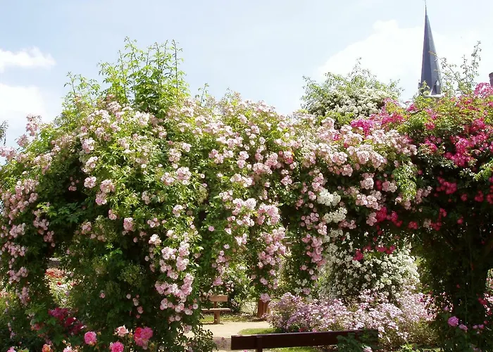 D'hotes La Belle Taille Pensión Lassay-les-Chateaux