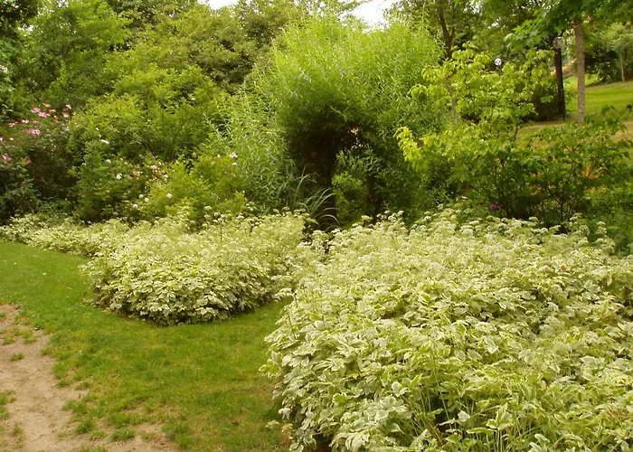 D'hotes La Belle Taille 3*