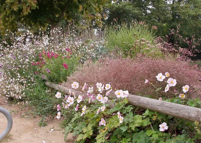 D'hotes La Belle Taille Maison d'hôtes 3*